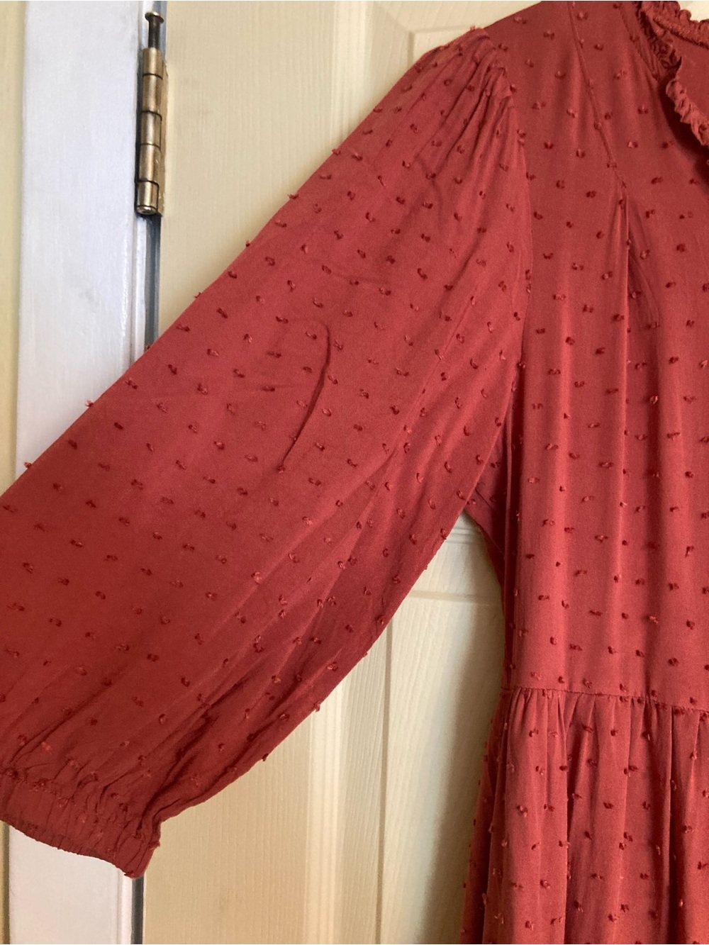 tea n rose Rust-Red Swiss Dot Tiered Maxi Dress - Picture 5 of 9
